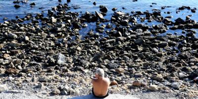 Аккаунт STEAM с жанровым разнообразием!