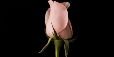 Продам игровой аккаунт World of Warcraft